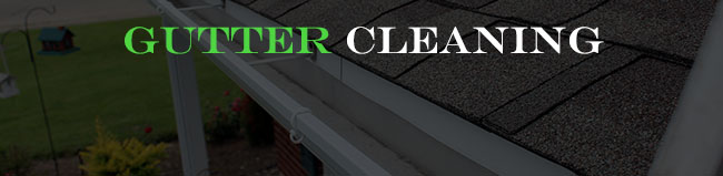 gutter_cleaning